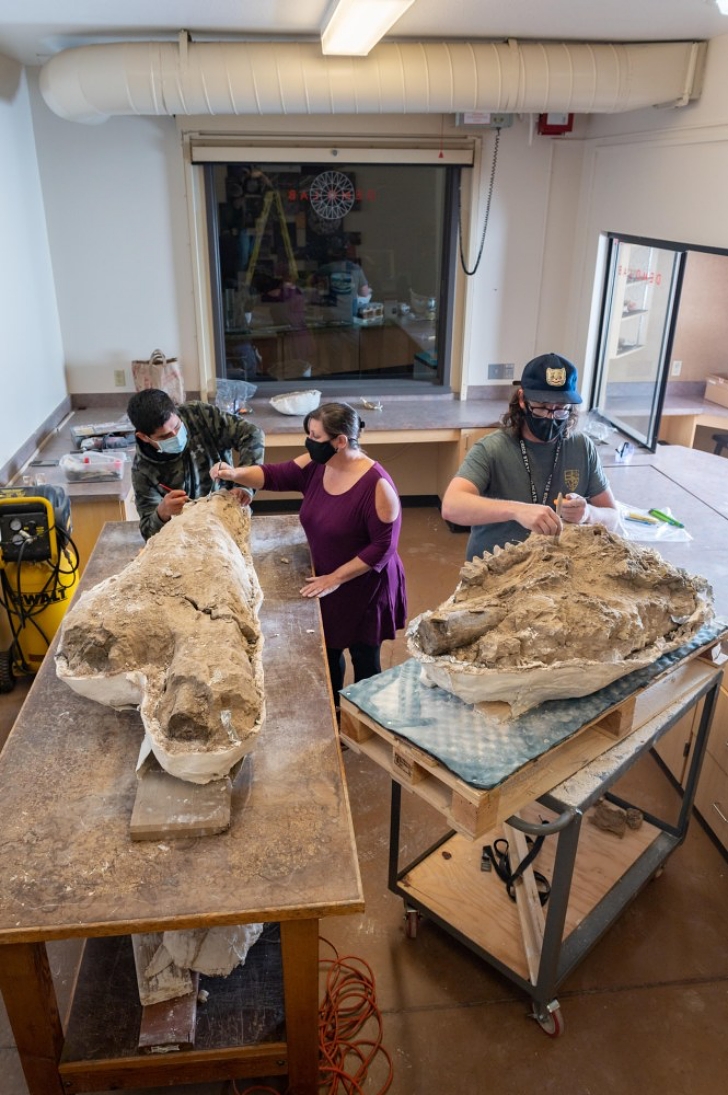 fossils from the Sierra Nevada foothills