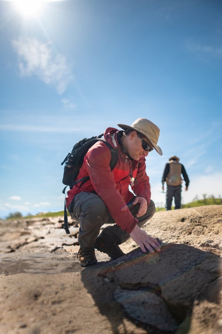 archaeological dig at the Sierra Nevada foothills