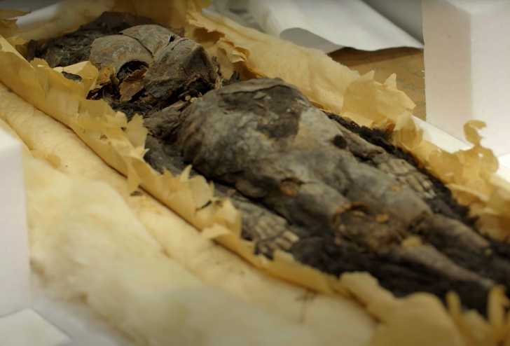 mummified baby found in King Tut's tomb