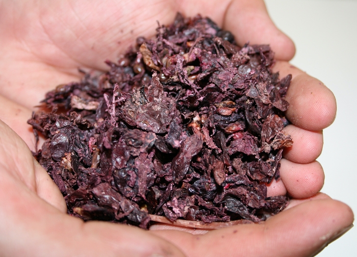 fresh pomace from grapes