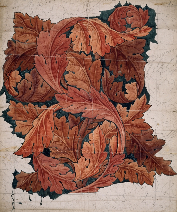 early sketch of Willam Morris Acanthuns Leaf design