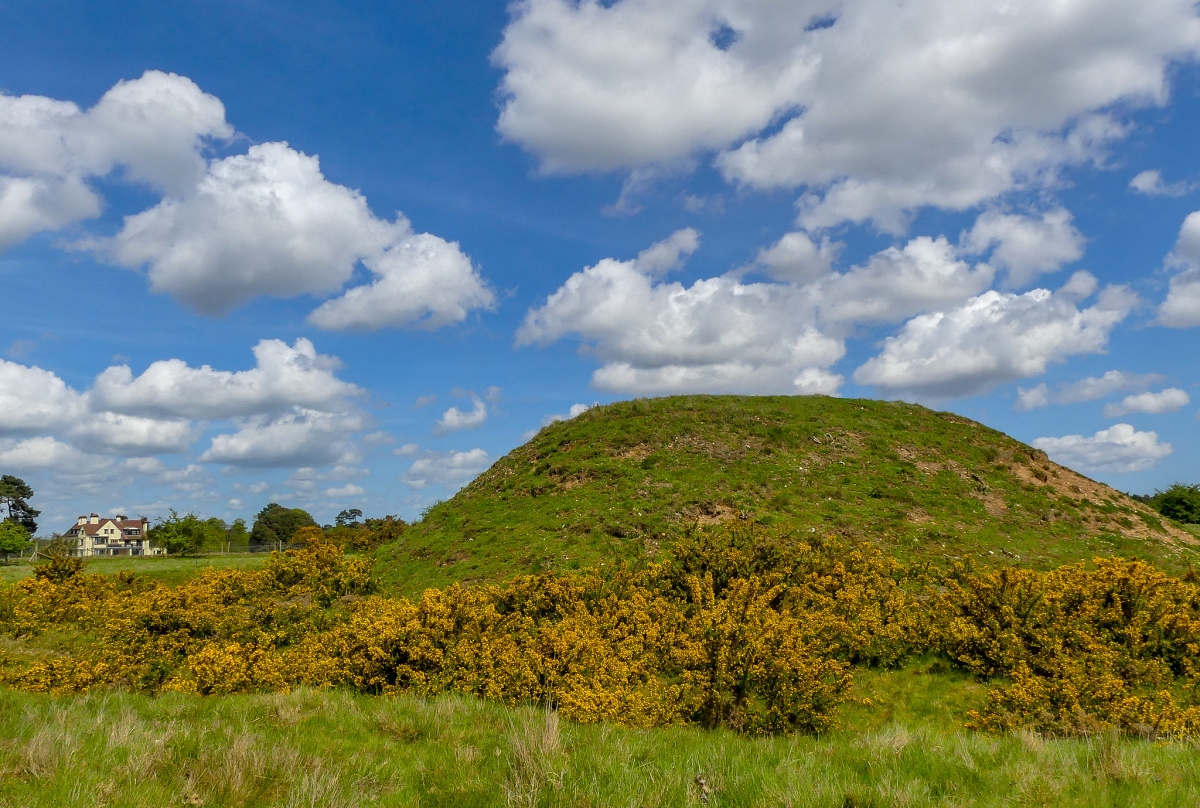 Sutton Hoo on a sunny day