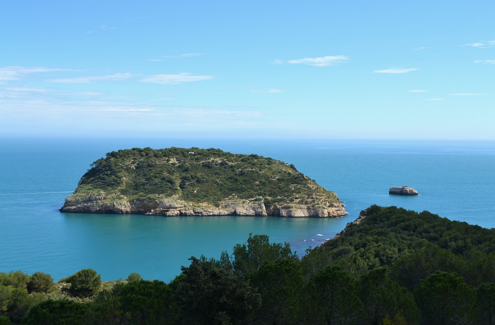 Portitxol de Xàbia, Valencia, Sapin