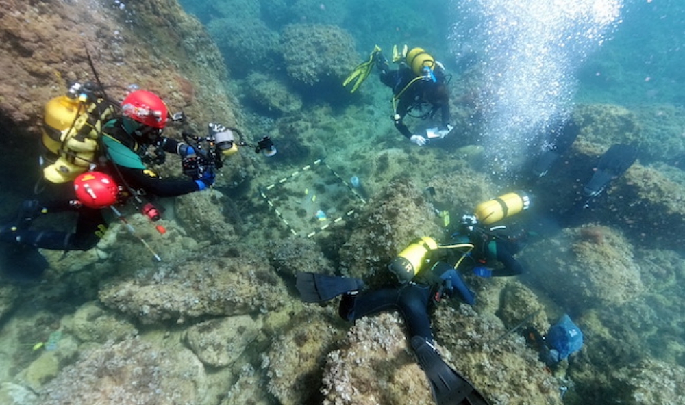 diving expedition off the coast of xabia