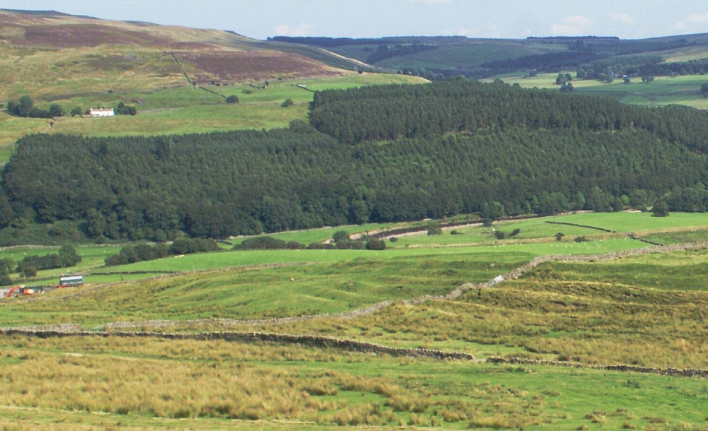 Whitley Castle Roman fort