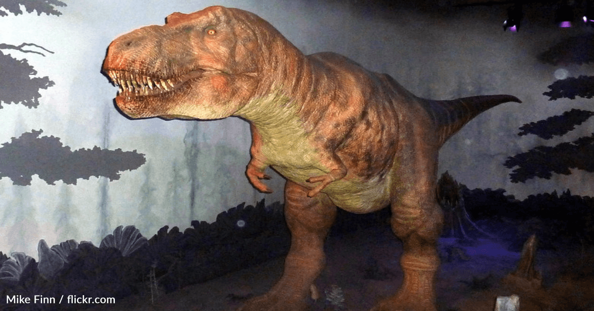 Tiranossauro Rex ganha suéter para celebrar o Natal no Museu de História  Natural de Londres; veja FOTO, Mundo
