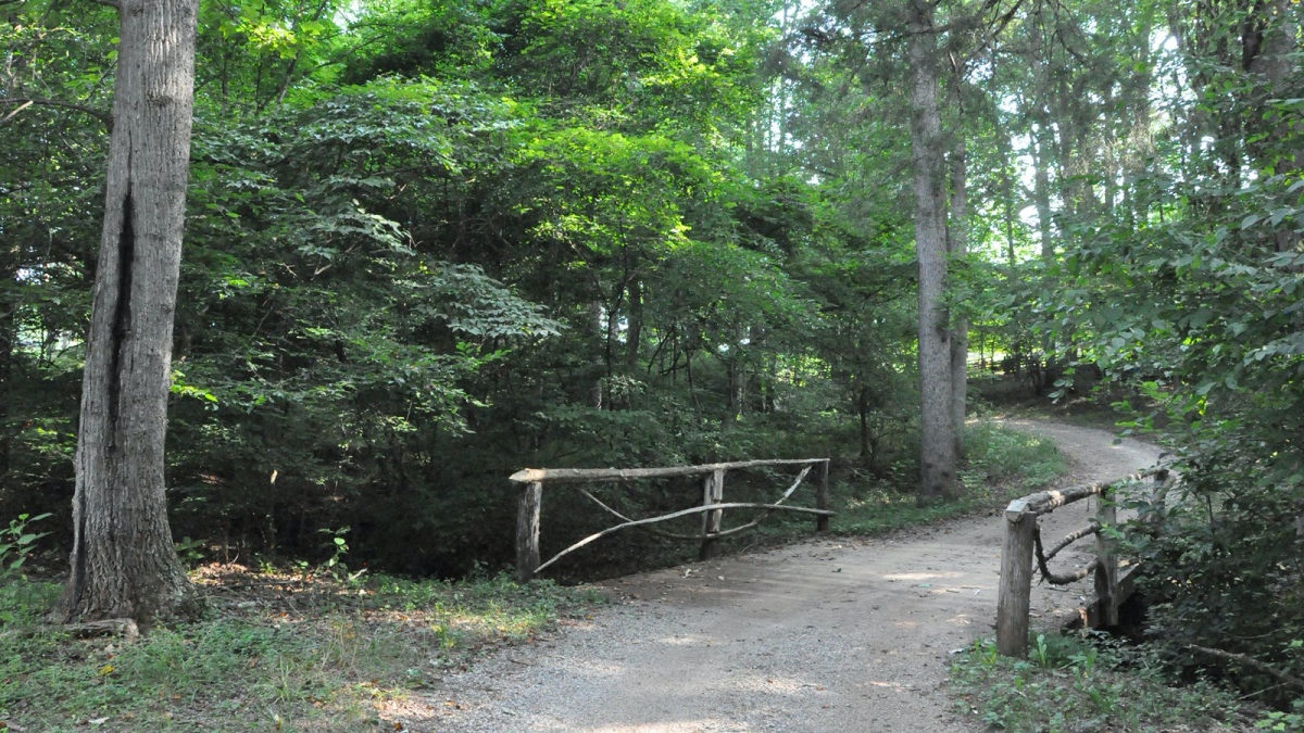 Jack-O-Lantern Branch Trail