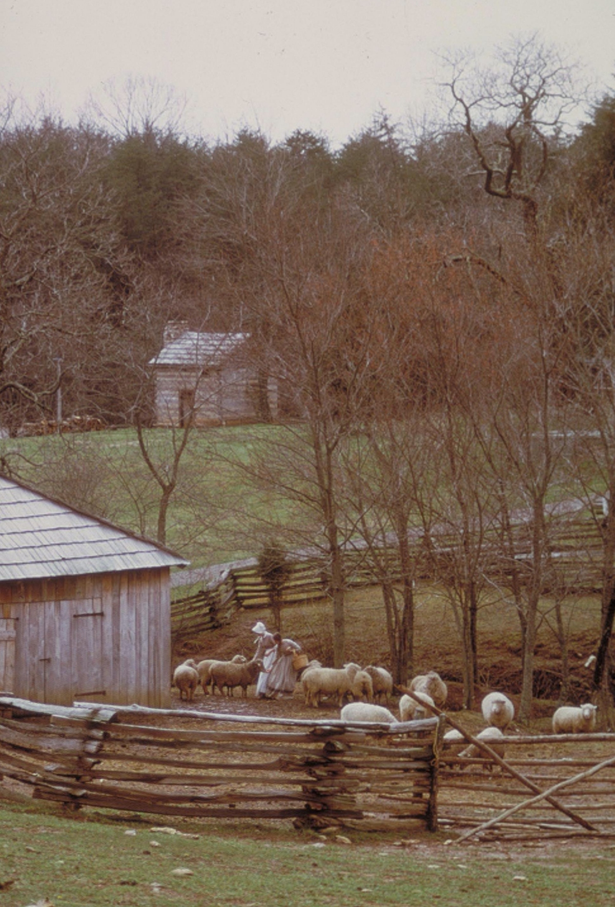 farm at Booker T Washington Memorial