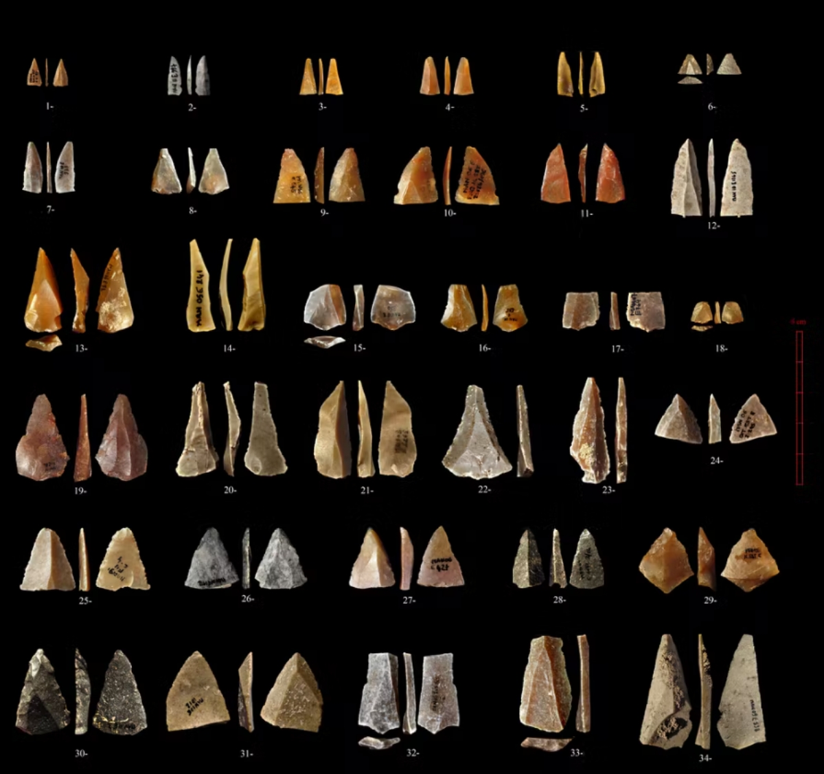Grotte Mandrin spear and arrowhead finds