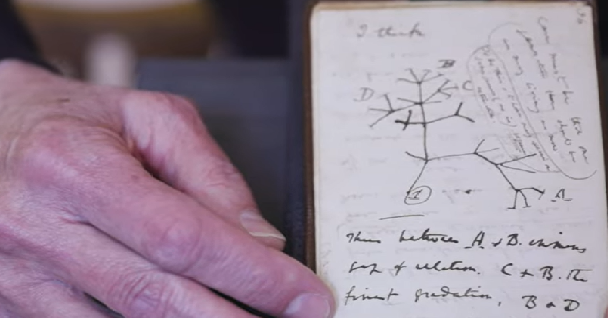 Cambridge University Finally Has Its Darwin Notebooks Back 20 Years ...