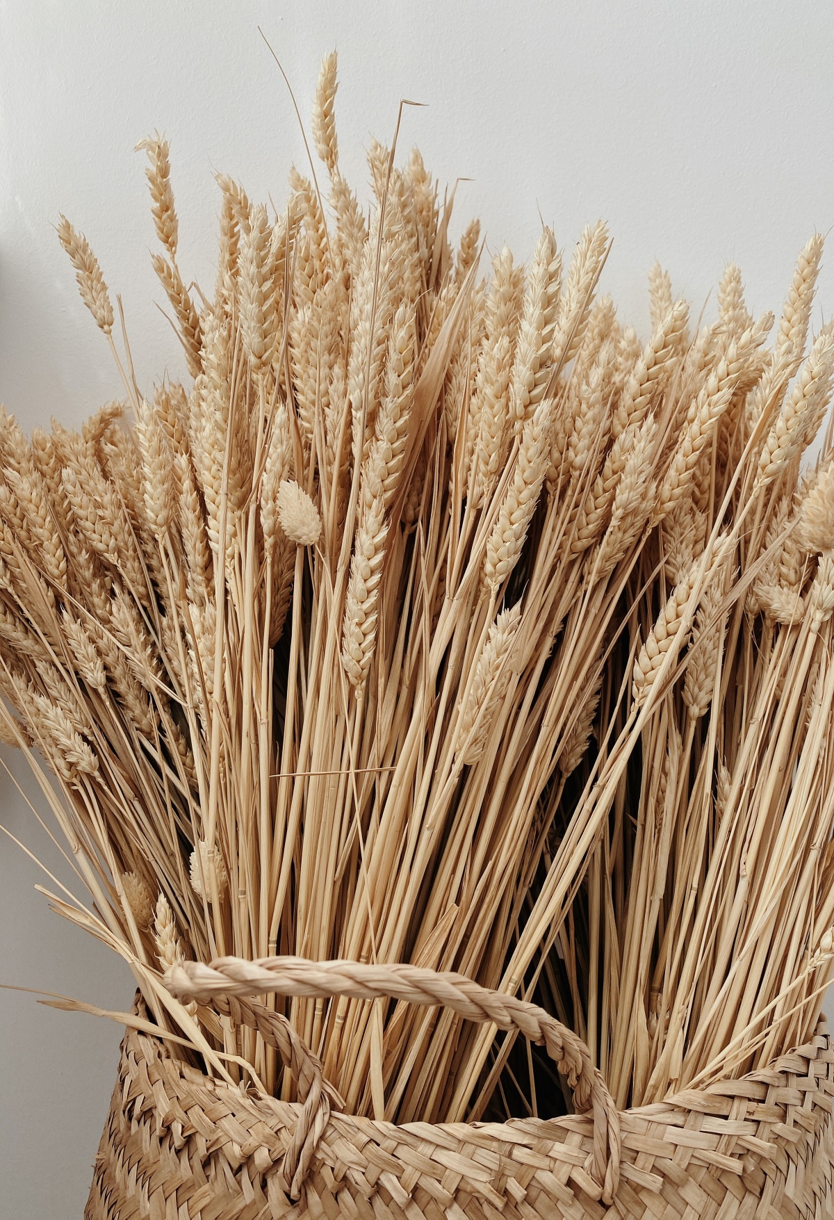 wheat in a basket