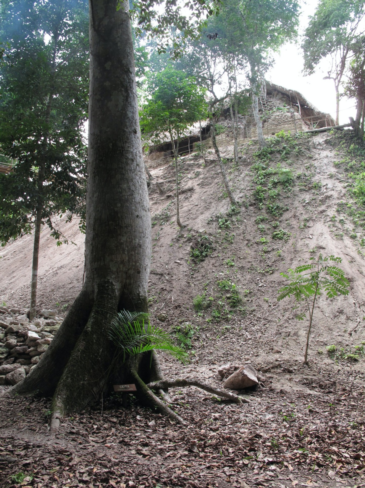 Las Pinturas at San Bartolo