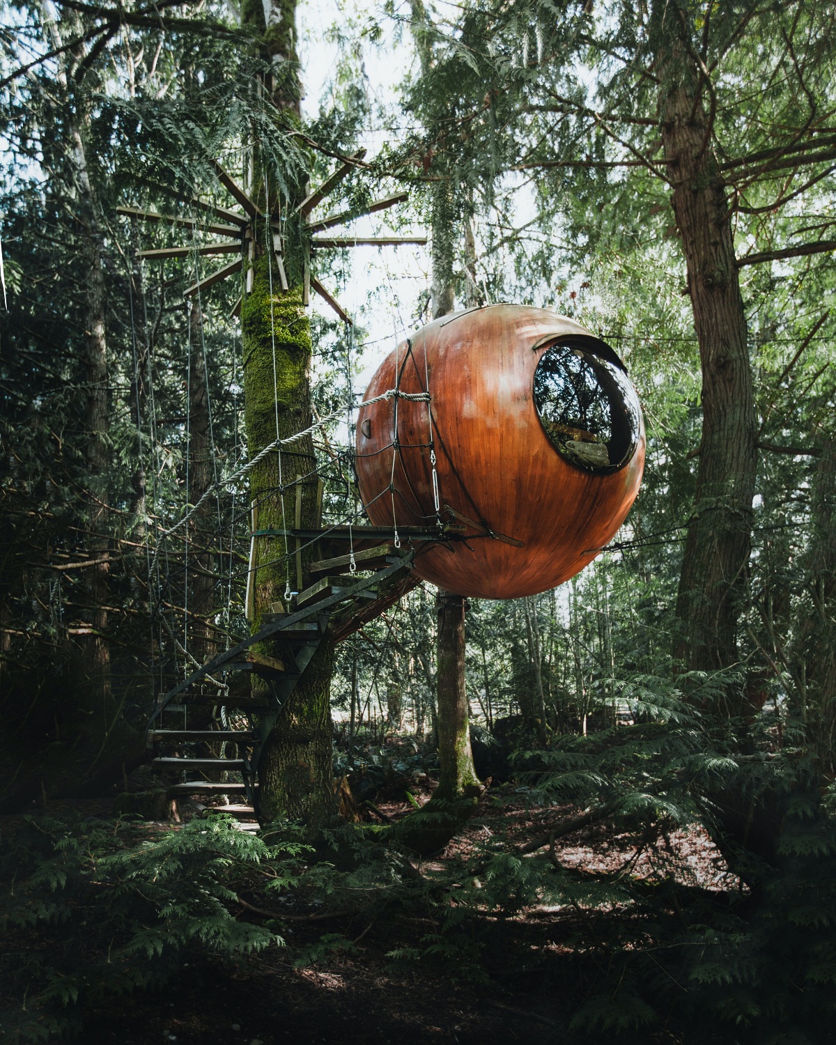 treehouse Airbnb