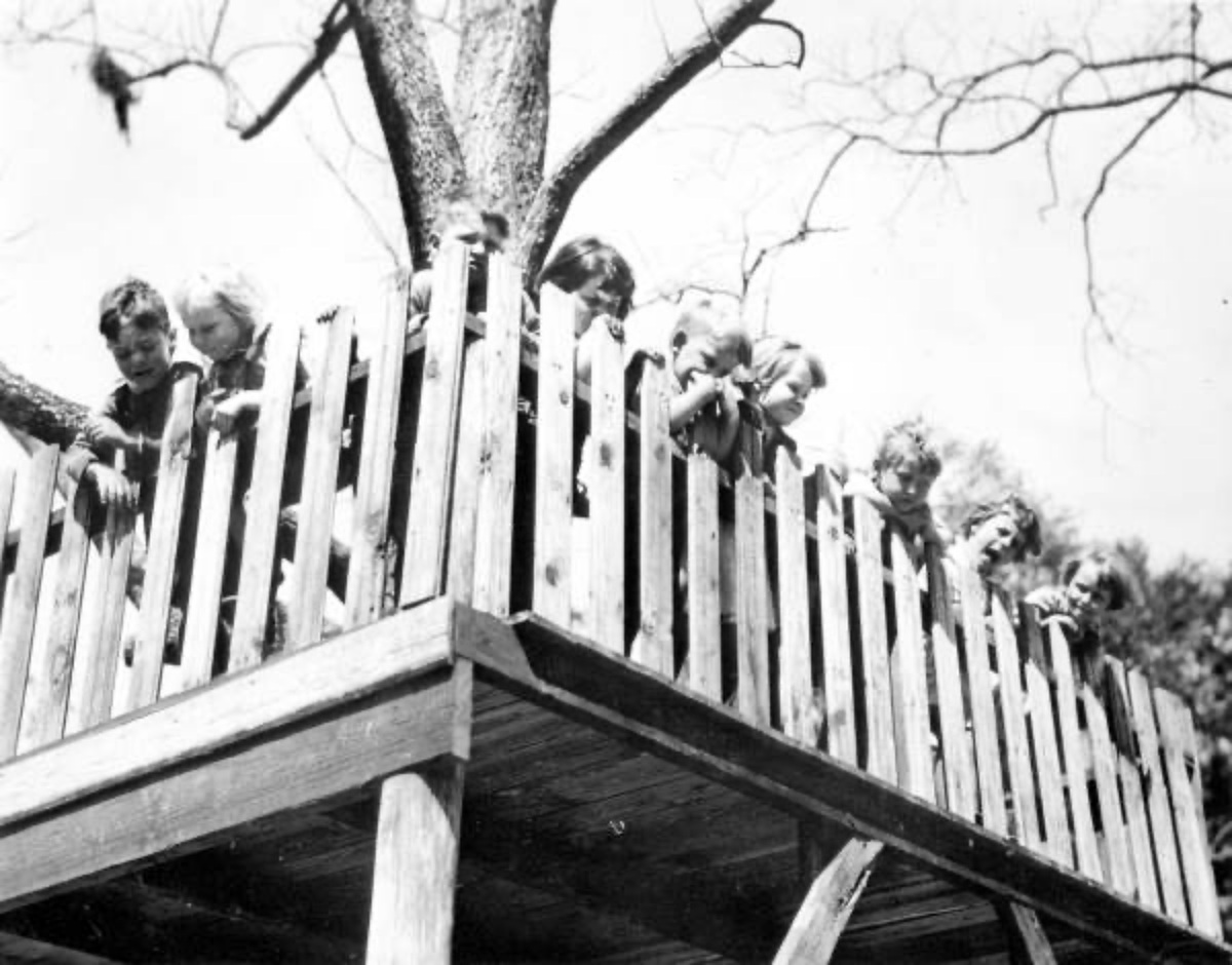 kids in treehouse 1930