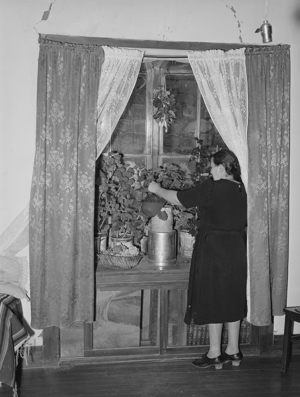 1930s woman attending to her plants