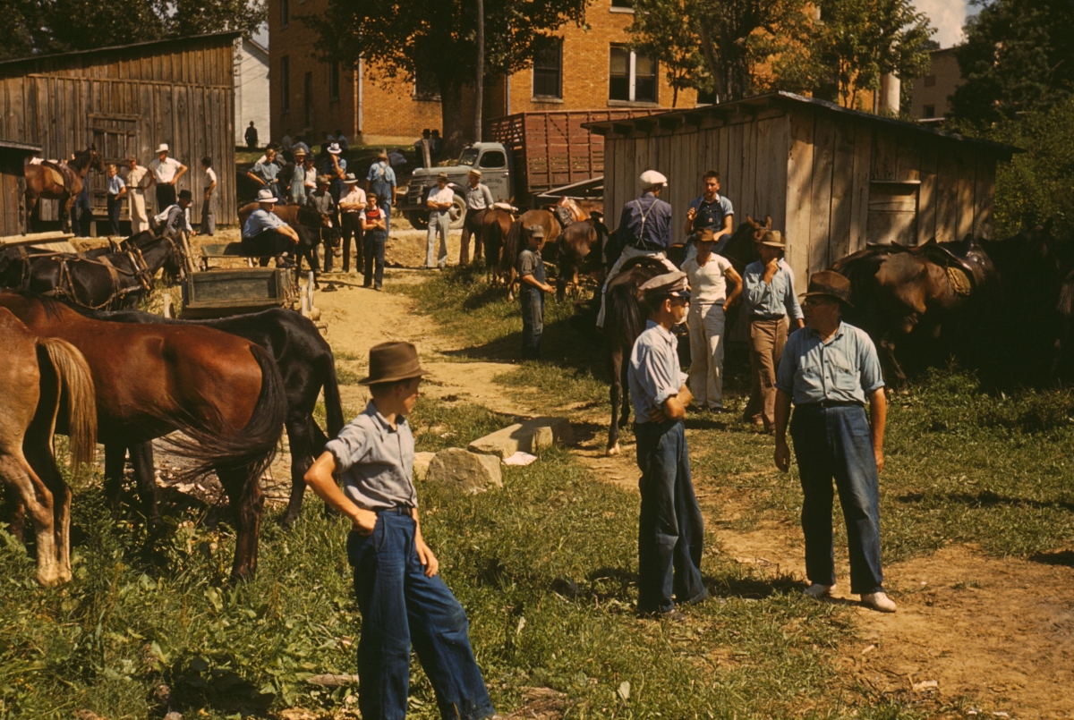 farmers gathered to trade horses, 1940