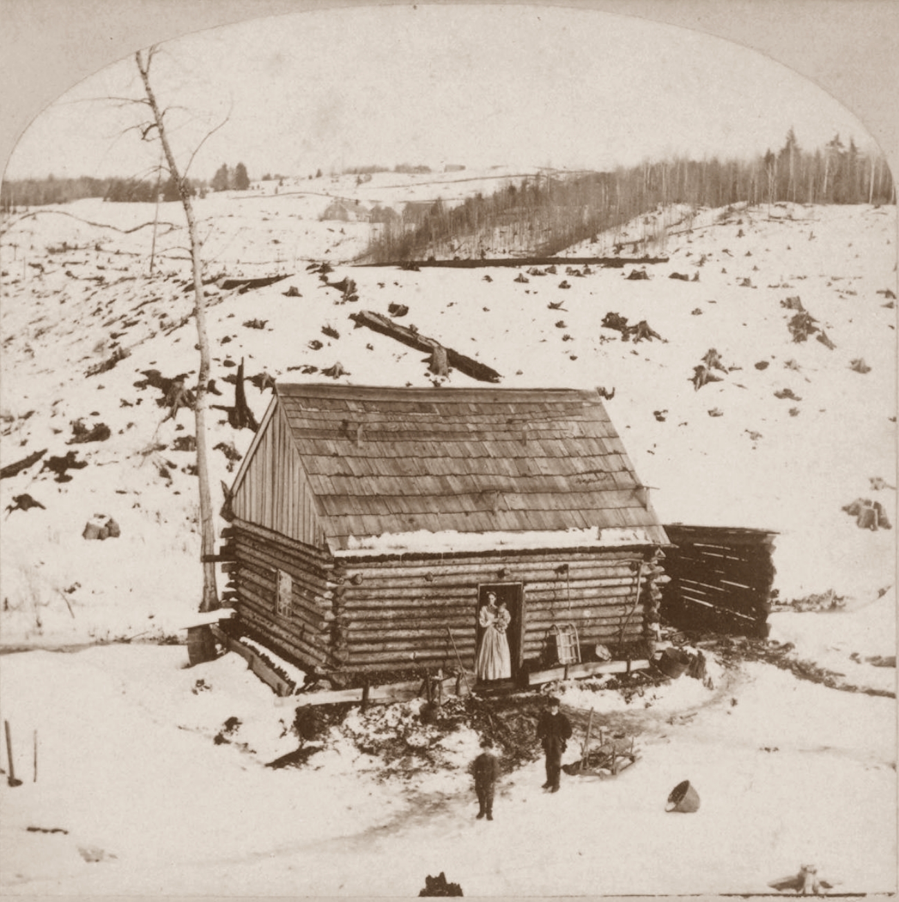 Log Cabin in Snow Surrounded by Tree Stumps