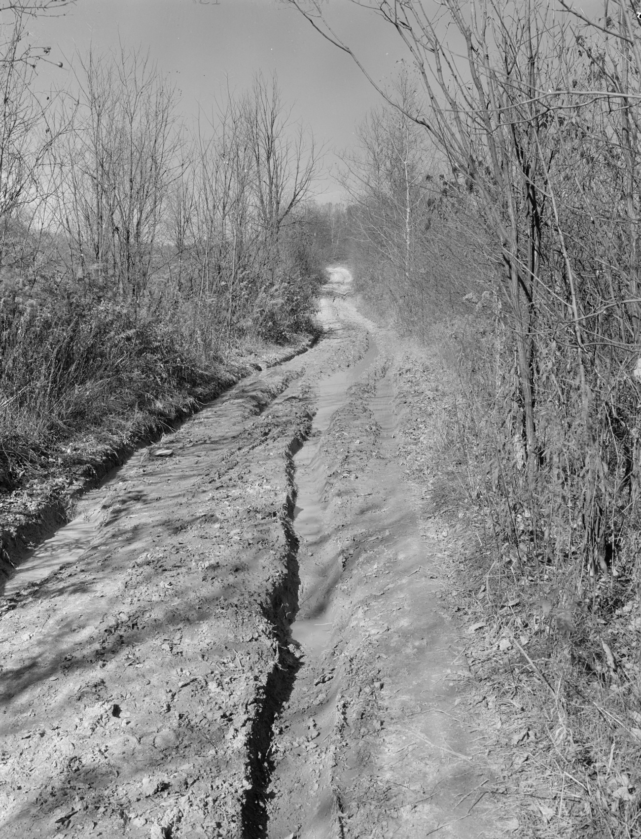 Black and White Photo of Old Country Road