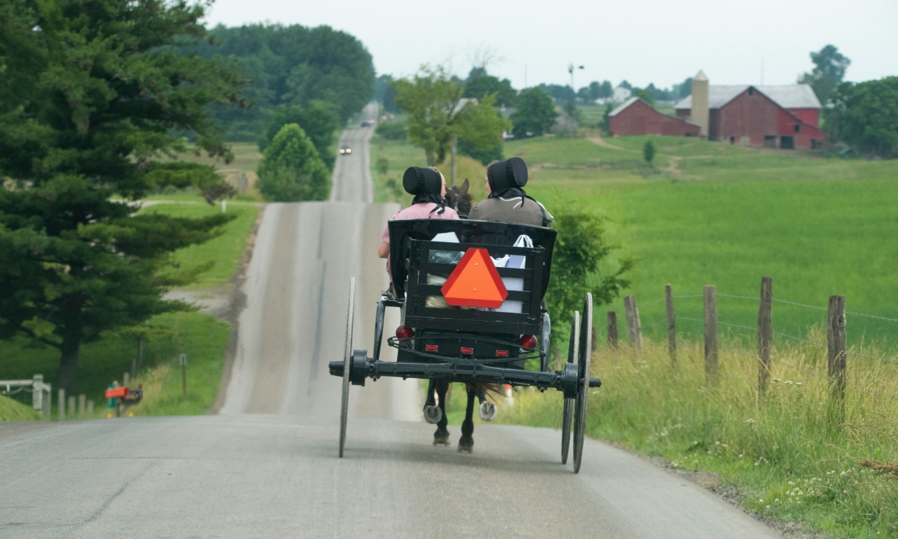 Back View of Amish Carriage