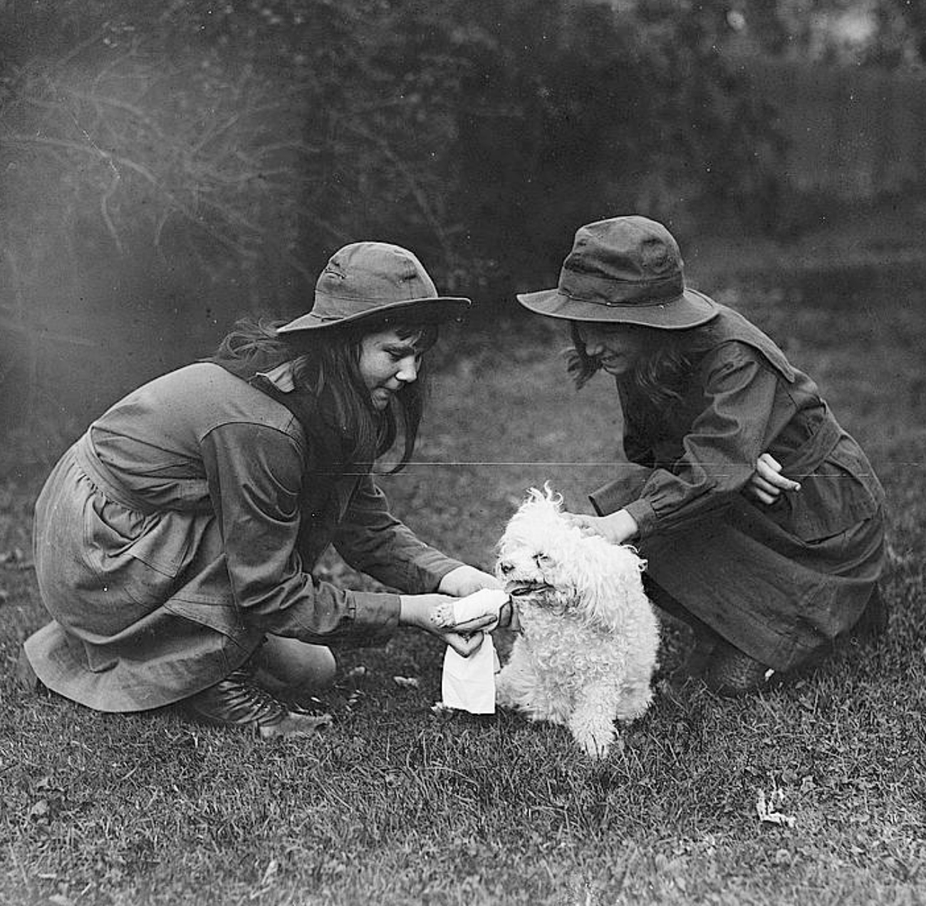 2 Girls Scouts Bandaging a Small Dogs Leg