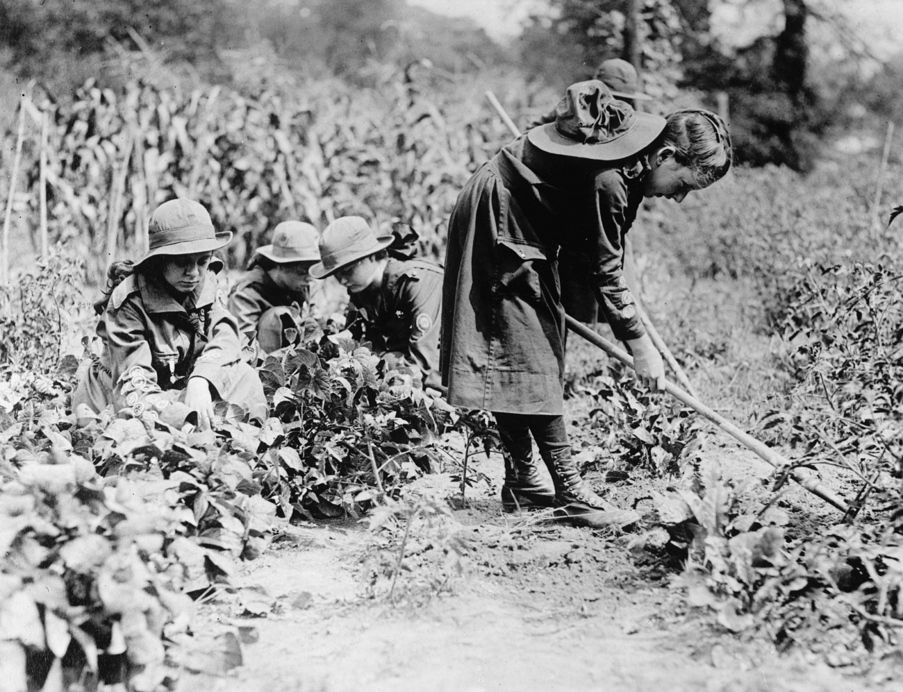 Girl Scouts Gardening