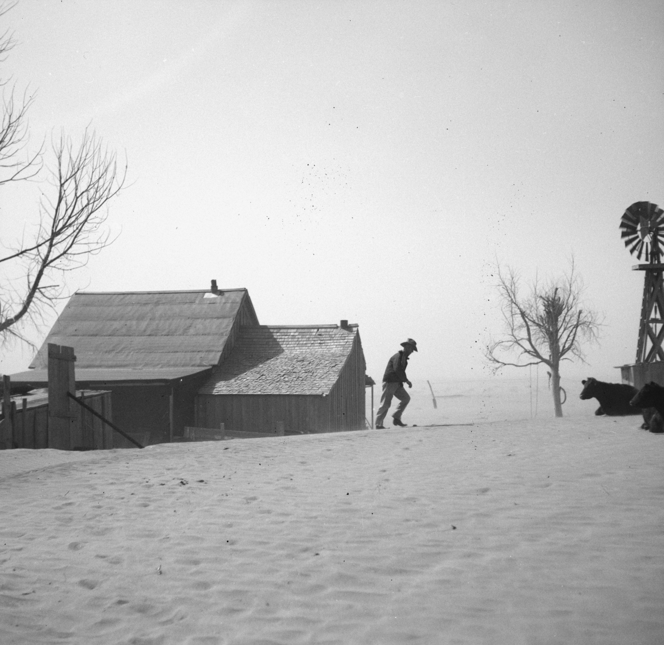 Dust Bowl Farm with No Grass or Leaves on Trees