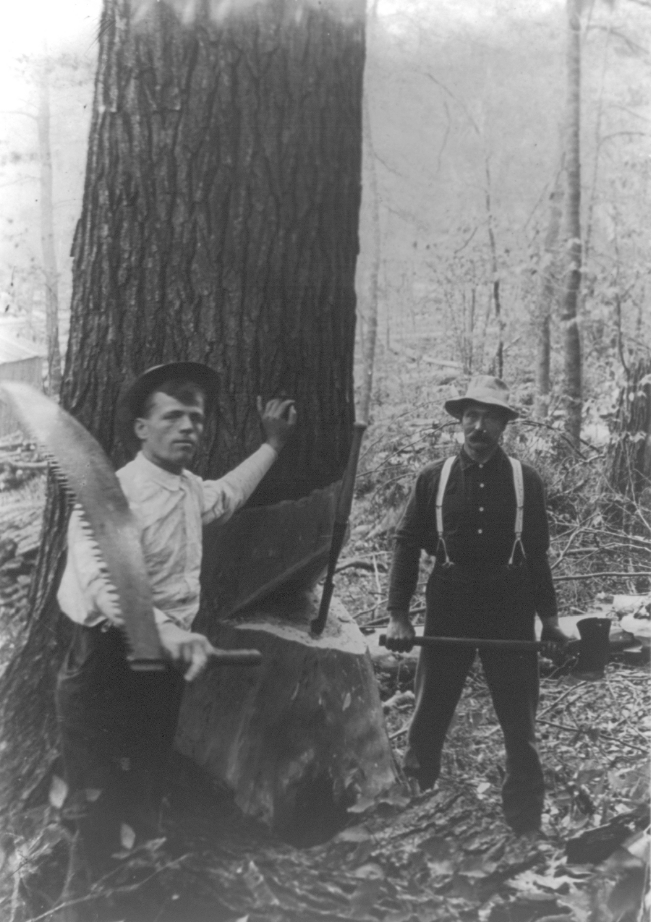 Lumberjacks in PA 1800s
