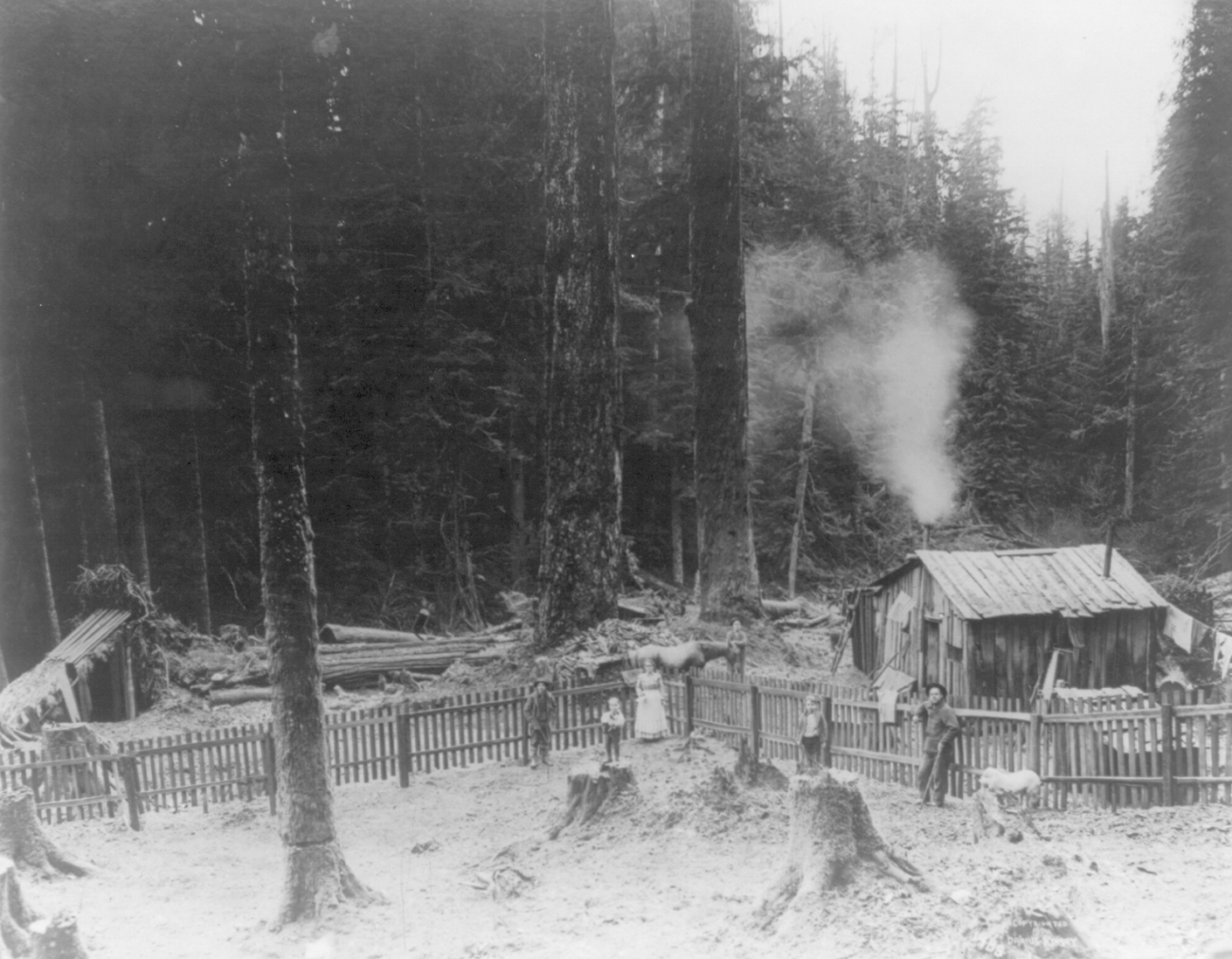 1906 Cascades Logging Operation