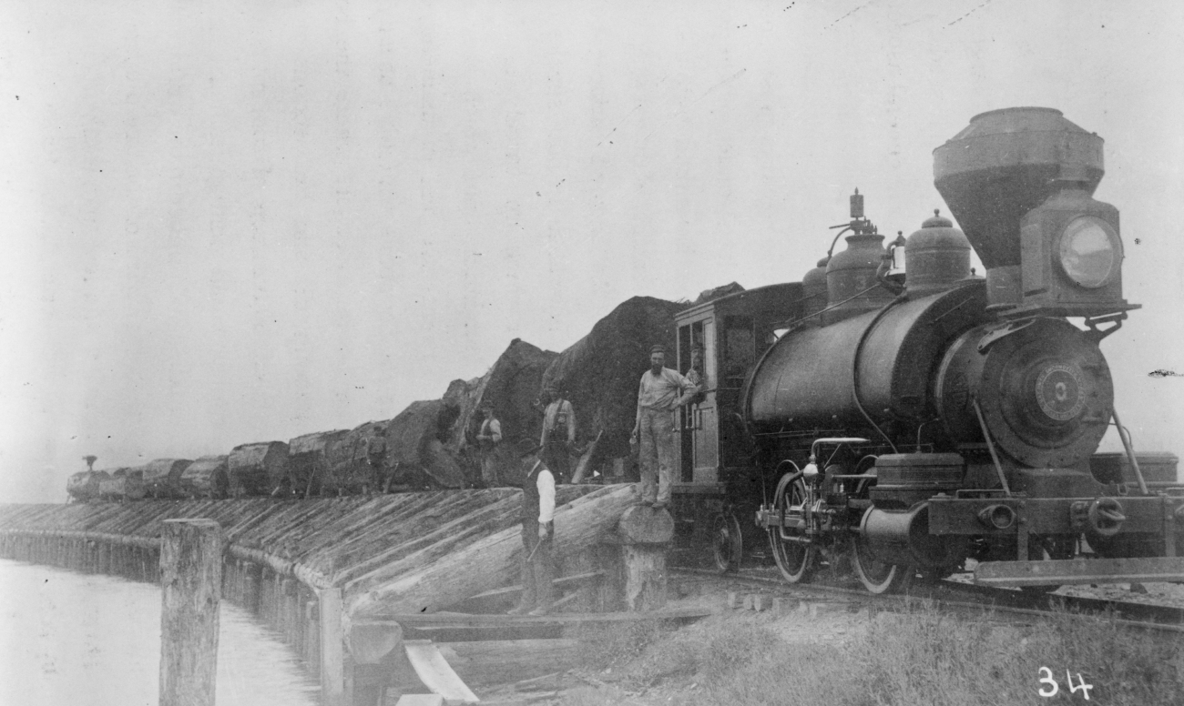 Logging Train 1884