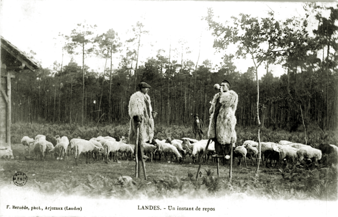 Early 1900s Tchankats in Landes