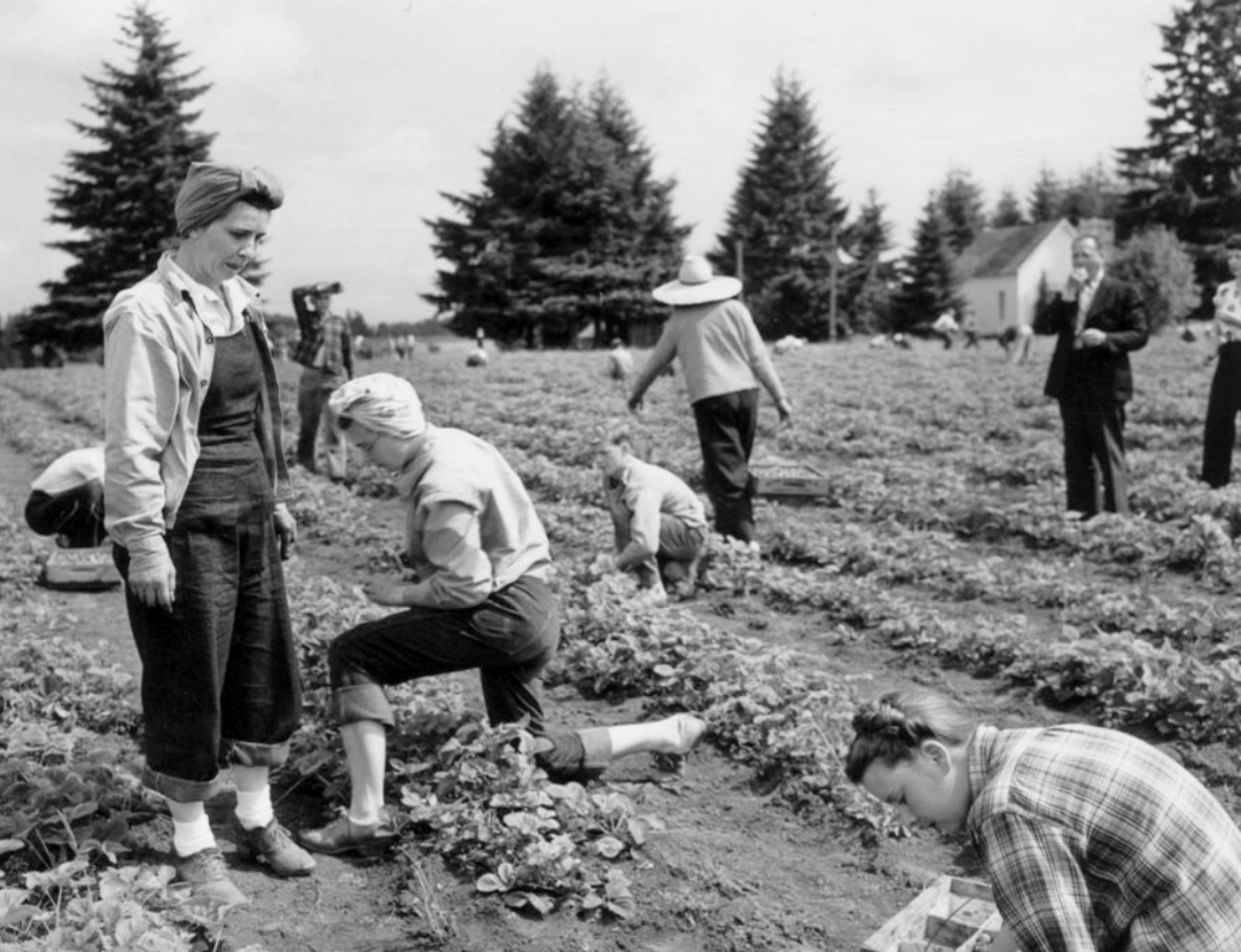 1946 victory Garden Farmer Women Oregon