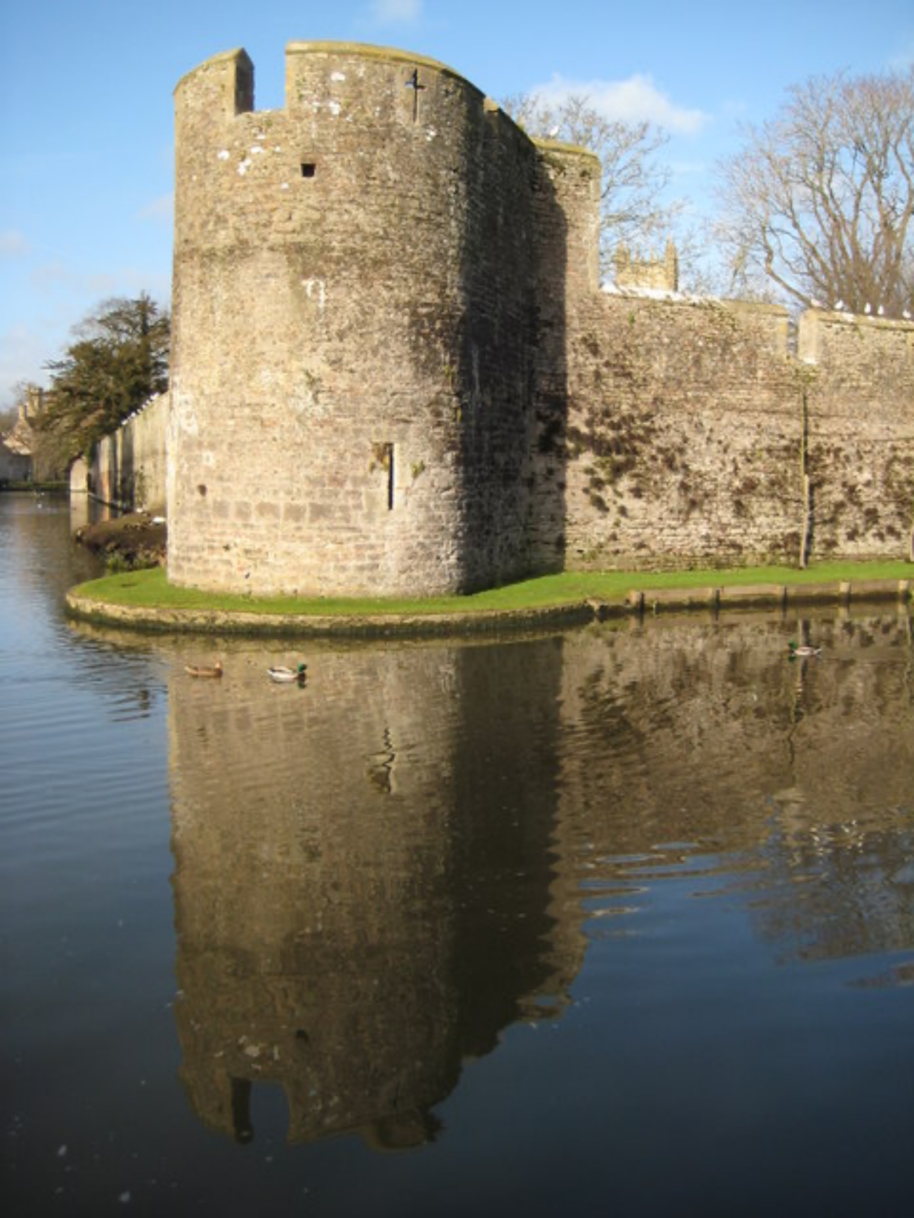 Bishop's Palace Mote