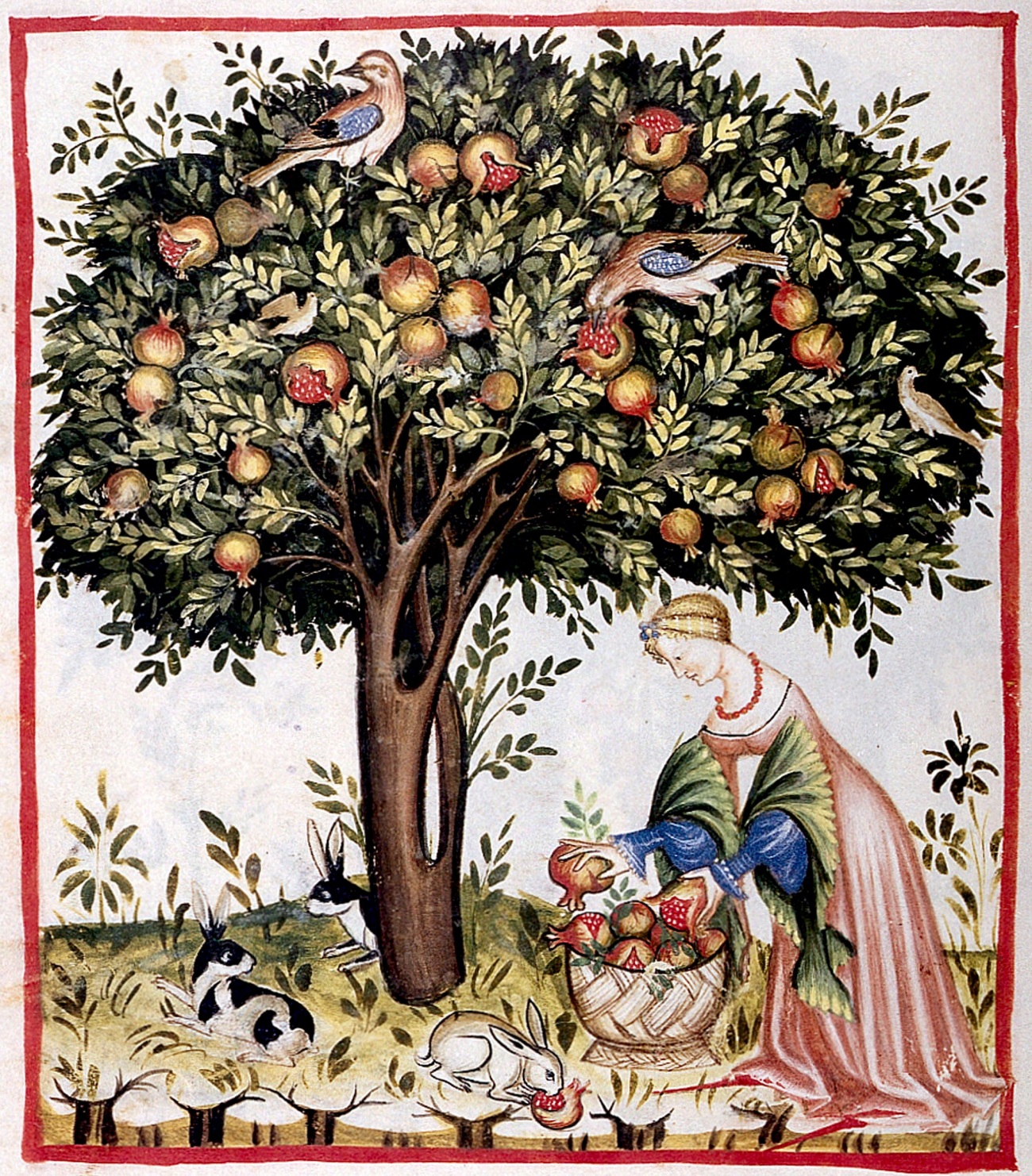Illustration of 15th Century Woman Harvesting Pomegranates