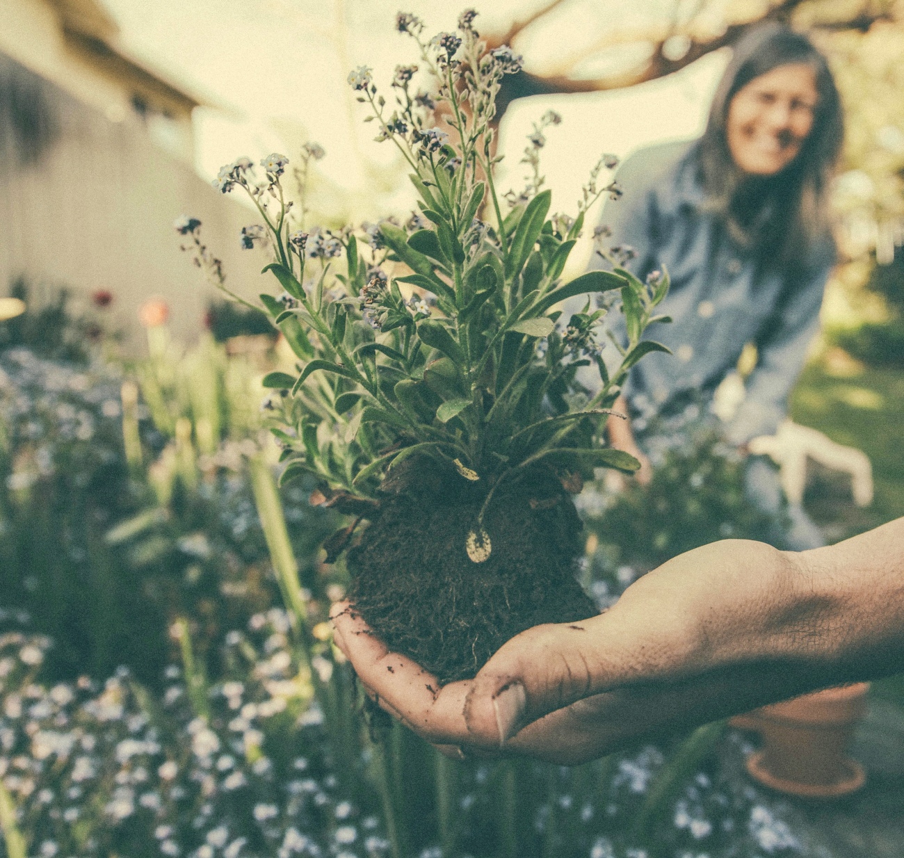 Gardening Photo