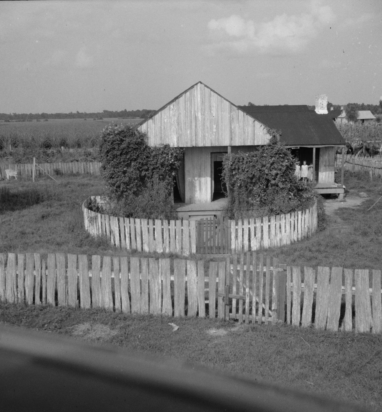 Lafourche Sugar Cane Worker's Home 1937