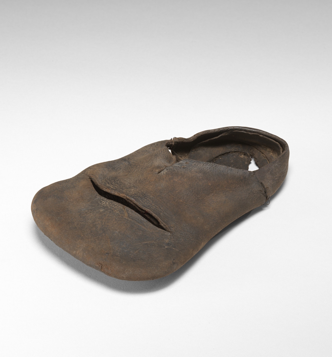 Duckbill Shoe