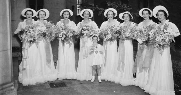 evolution bridesmaid dresses Test rental product