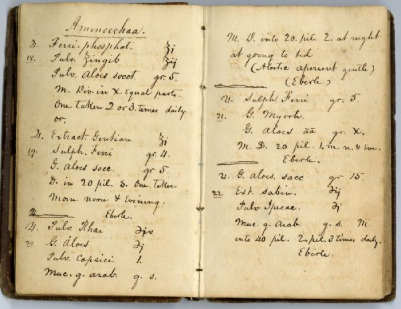 1800s Remedy for Amenorrhea