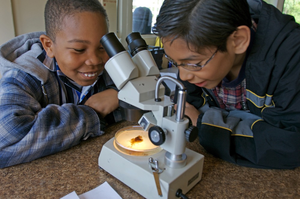 Two boys focus on a microscope in a classroom, highlighting their curiosity and collaborative learning experience.