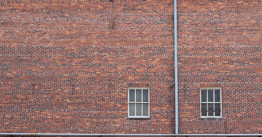 A Lesson In Joy From A Brick Wall