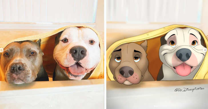 Artist Turns Pet Pics Into Disney Cartoons