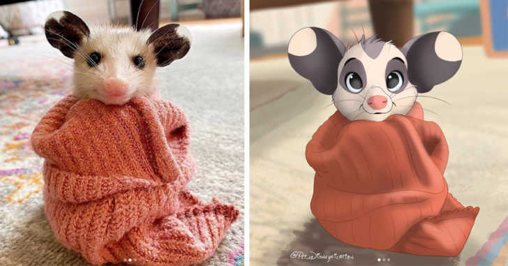 Netherlands Artist 'Disneyfies' Pets and the Results Are Magical