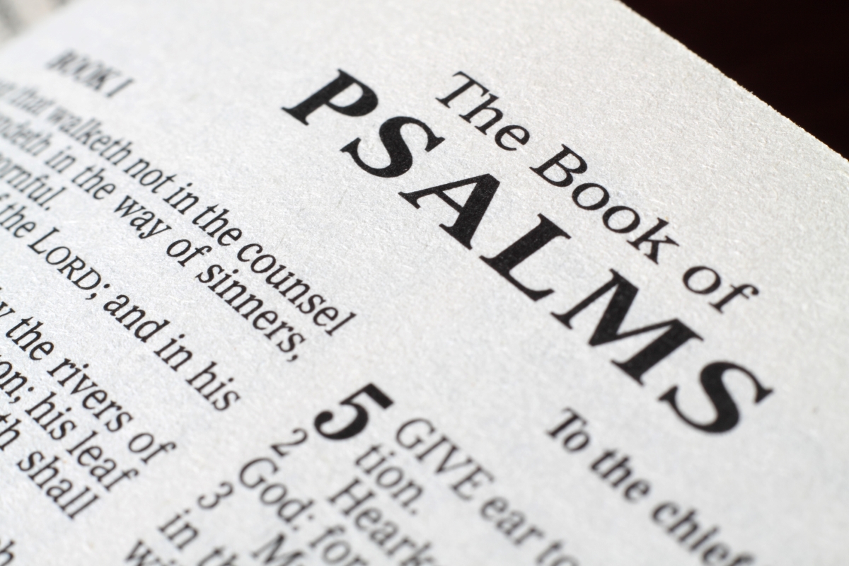 Significant Psalms: A Journey Through the Heart of the Bible | FaithHub