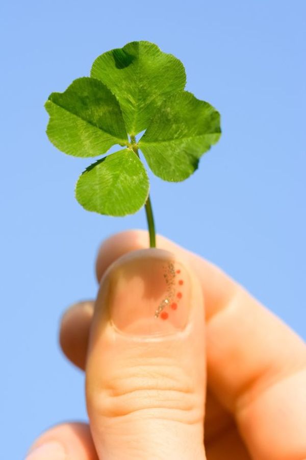 Facts about Four-leaf Clovers