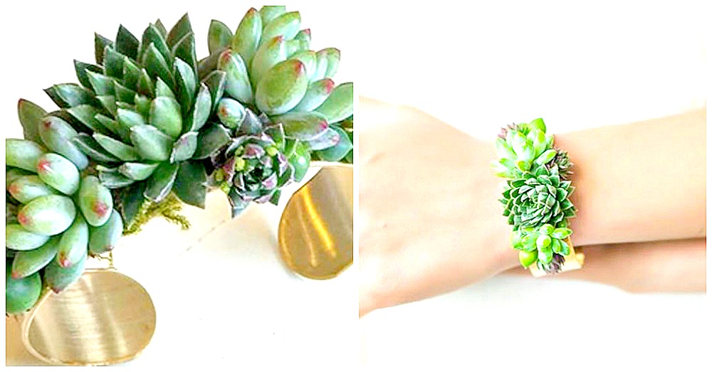 11 PlantBased Jewelry Ideas! Crafty House
