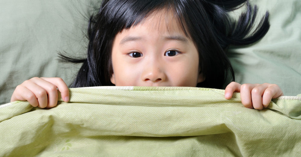 Easy DIY How To Make A Weighted Sensory Blanket Crafty House