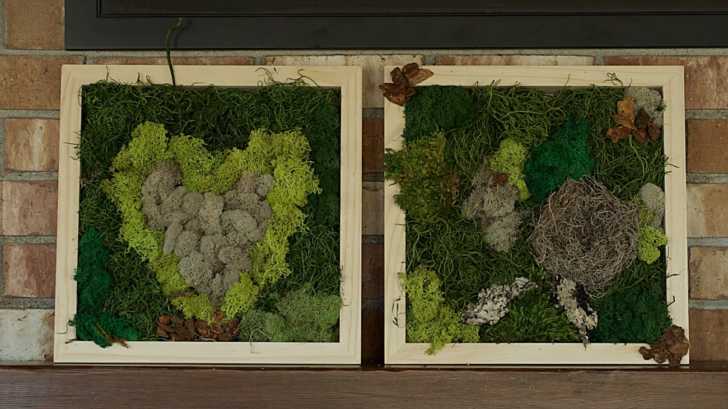 DIY Moss Board | Crafty House