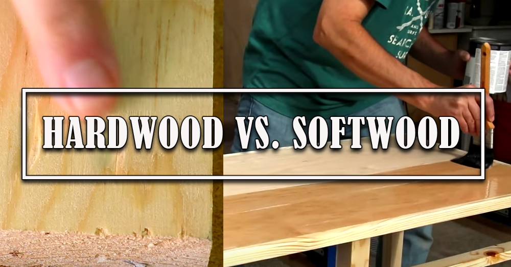 What Kind Of Wood Should You Be Working With? Crafty House