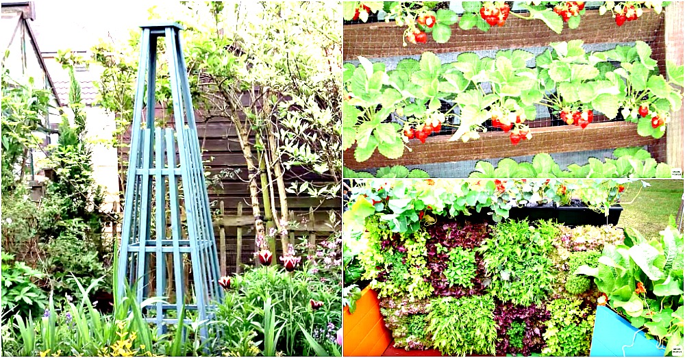 Grow MORE in your garden! Crafty House