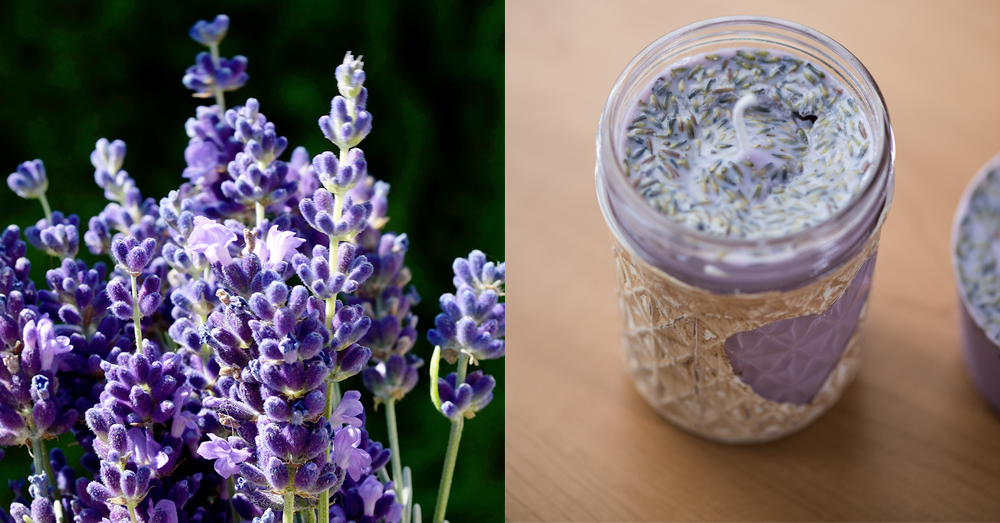 These Lavender Citronella Candles Are The Perfect Summer Decor